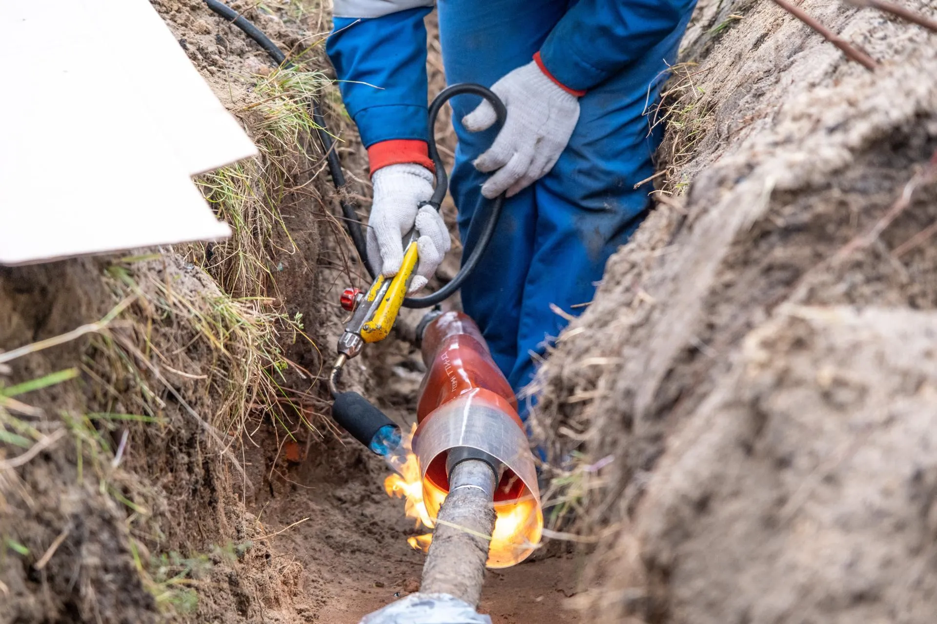 Фото: Александр Щербаков