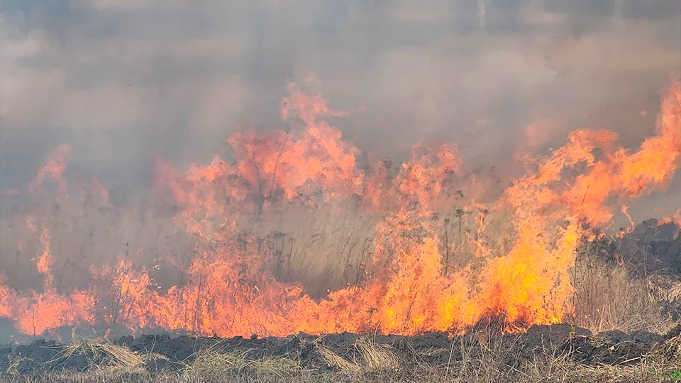Фото: Станислав Орлов