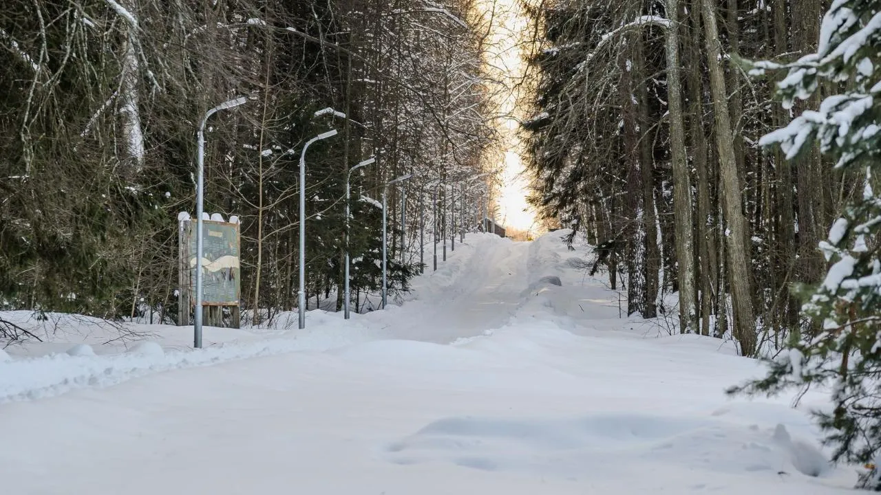 медиасток.рф