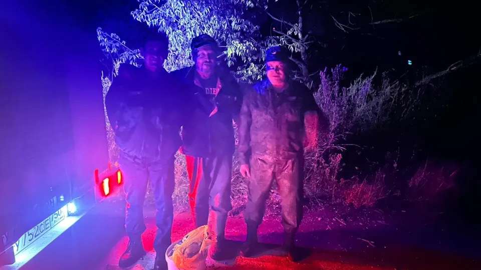 Фото: Комитет лесного хозяйства Московской области