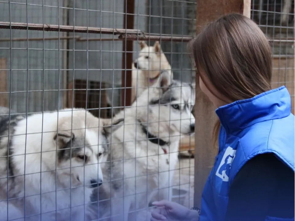 Фото: Молодая Гвардия г. о. Фрязино&nbsp;