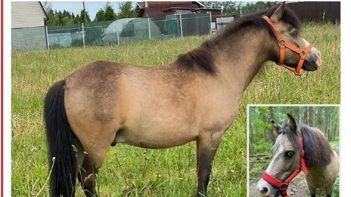 Фото: социальные сети