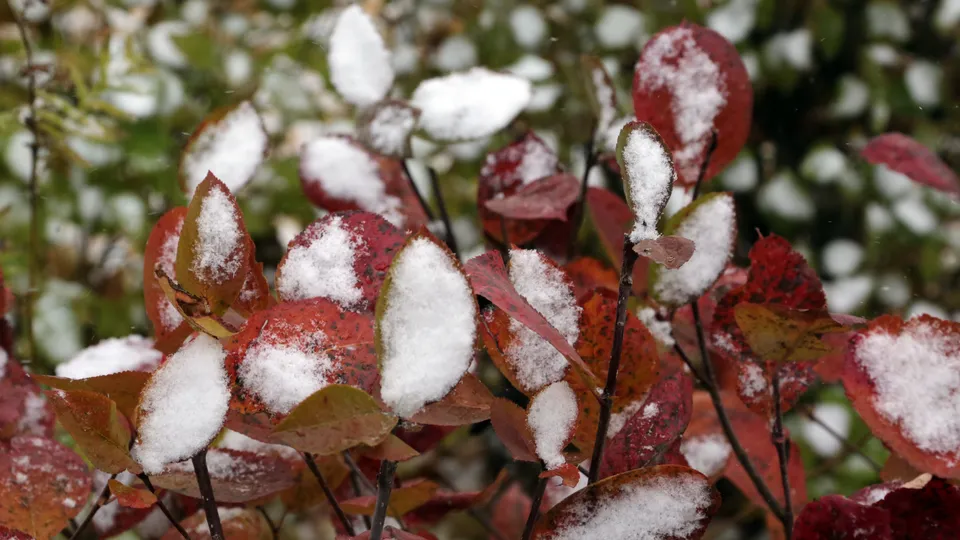 Фото: медиасток.рф