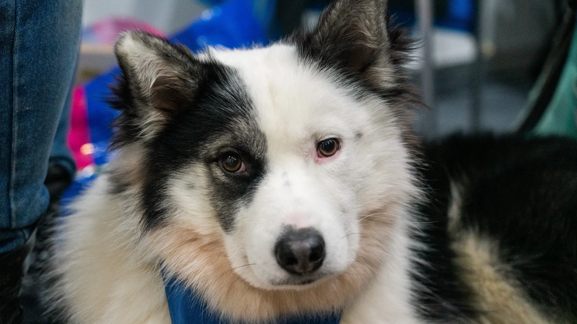 медиасток.рф