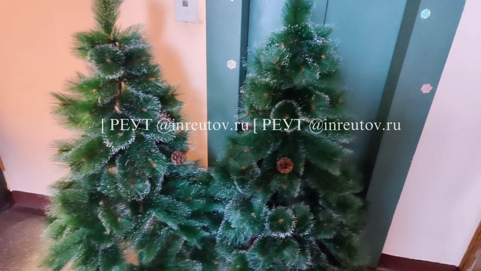 Фото: Оксана Широбокова