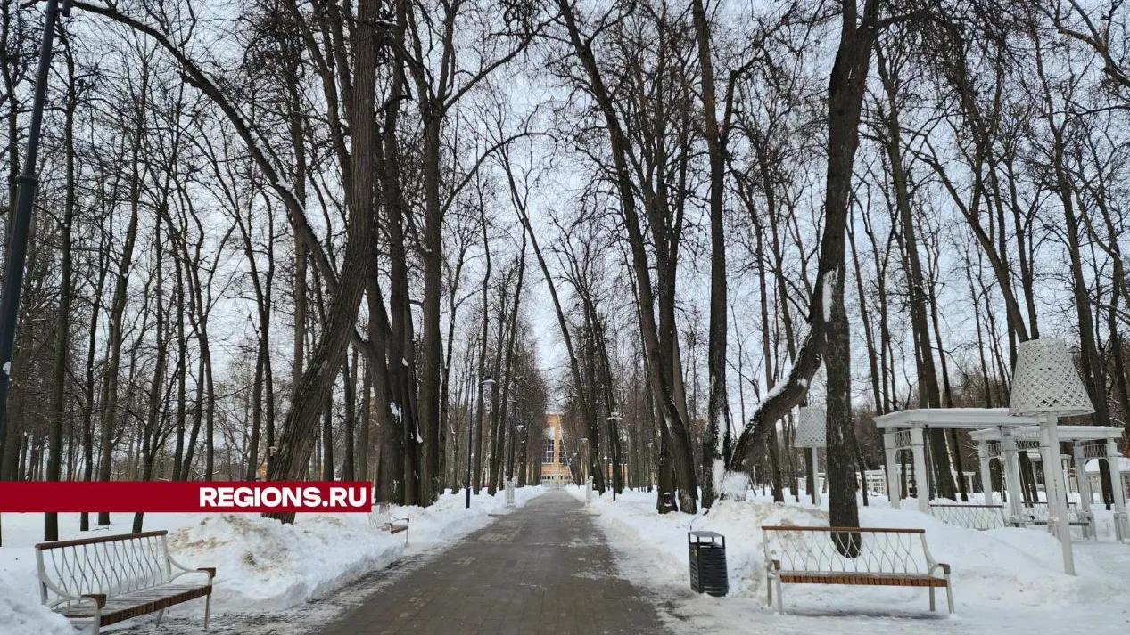 Фото: Светлана Плотникова