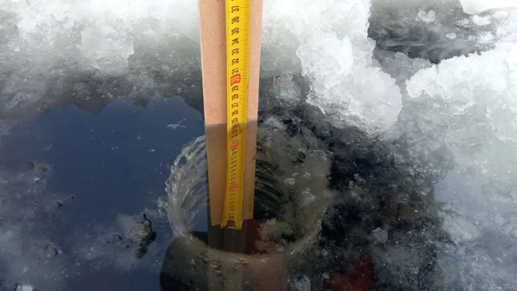 Фото: Администрация городского округа Люберцы