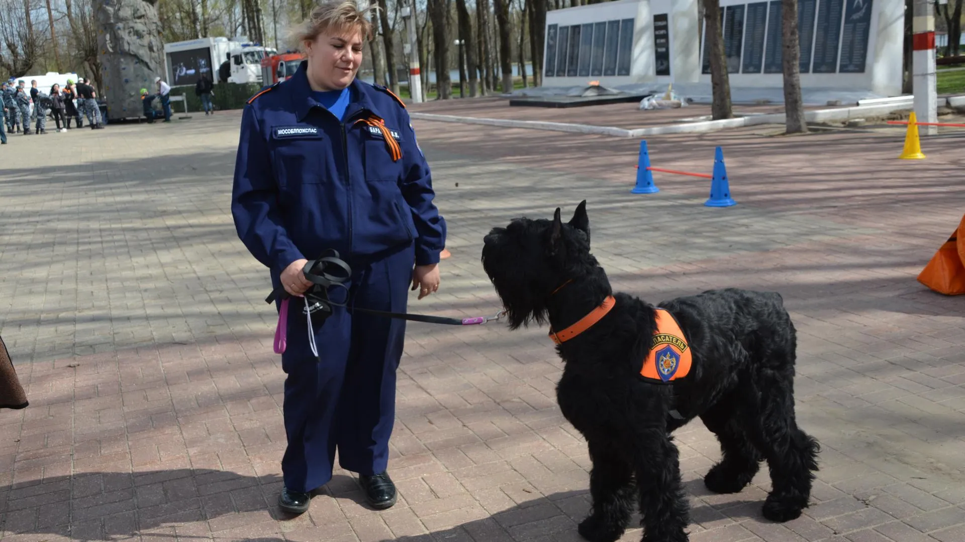 Фото: Главное управление МЧС России по Московской области