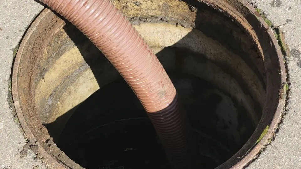 Фото: МедиаБанк Подмосковья/Наталья Лымарь