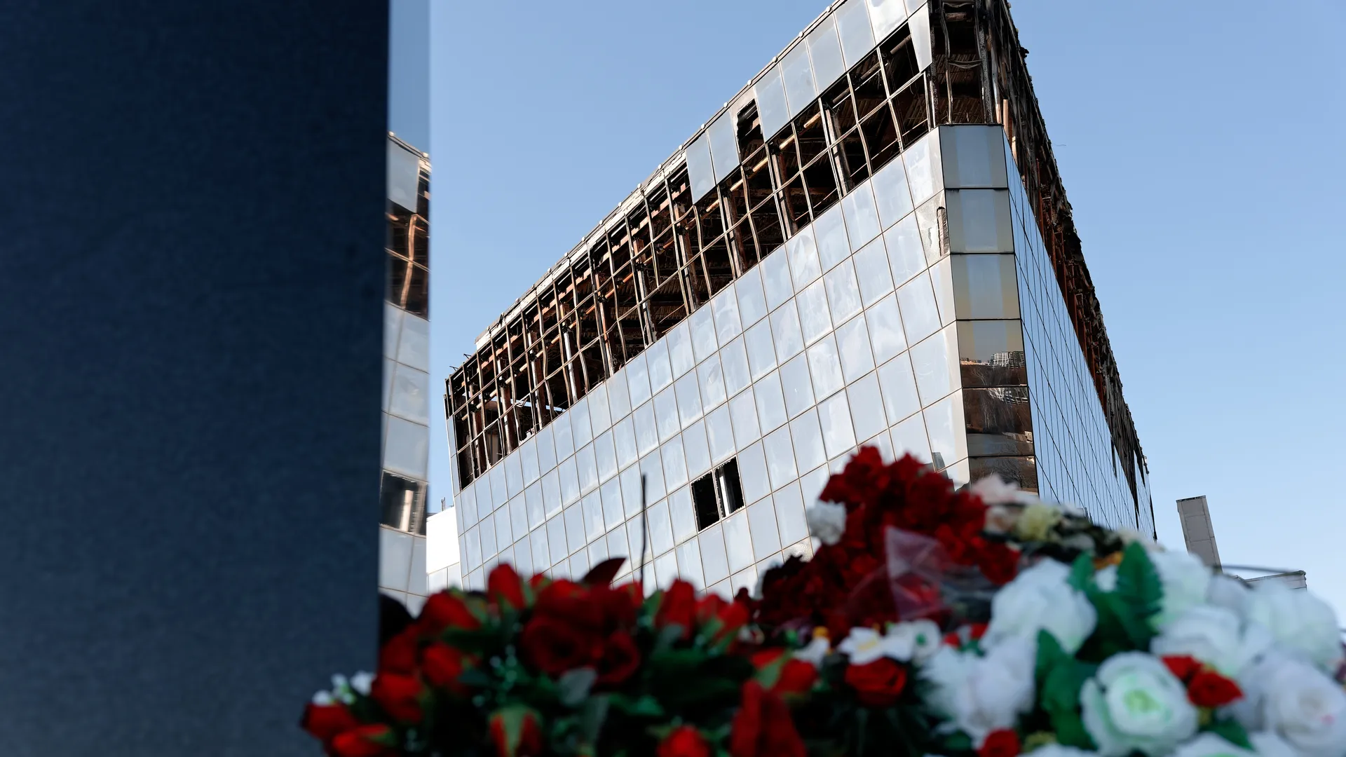 медиасток.рф