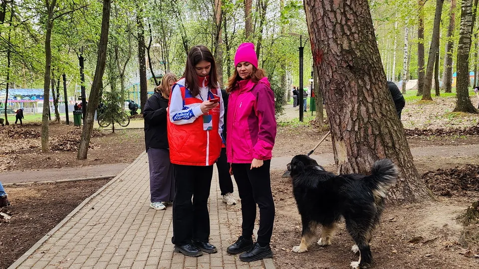 Фото: МедиаБанк Подмосковья/Ксения Пашуто