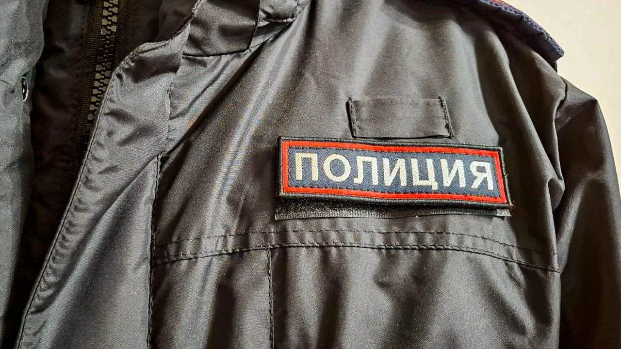 МедиаБанк Подмосковья/Юлия Габбасова