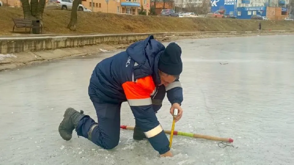 Фото: Администрация м.о. Чехов