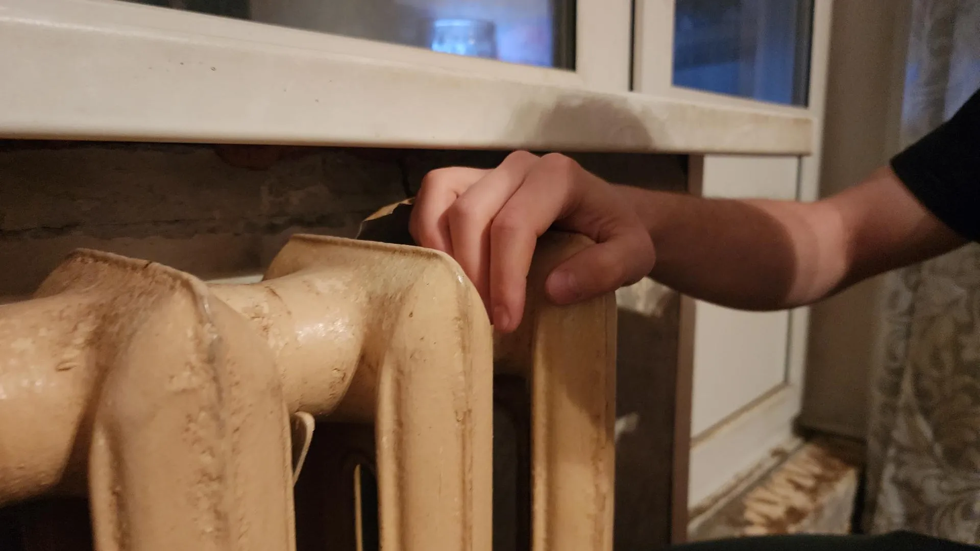 Фото: МедиаБанк Подмосковья/Иван Петрушин