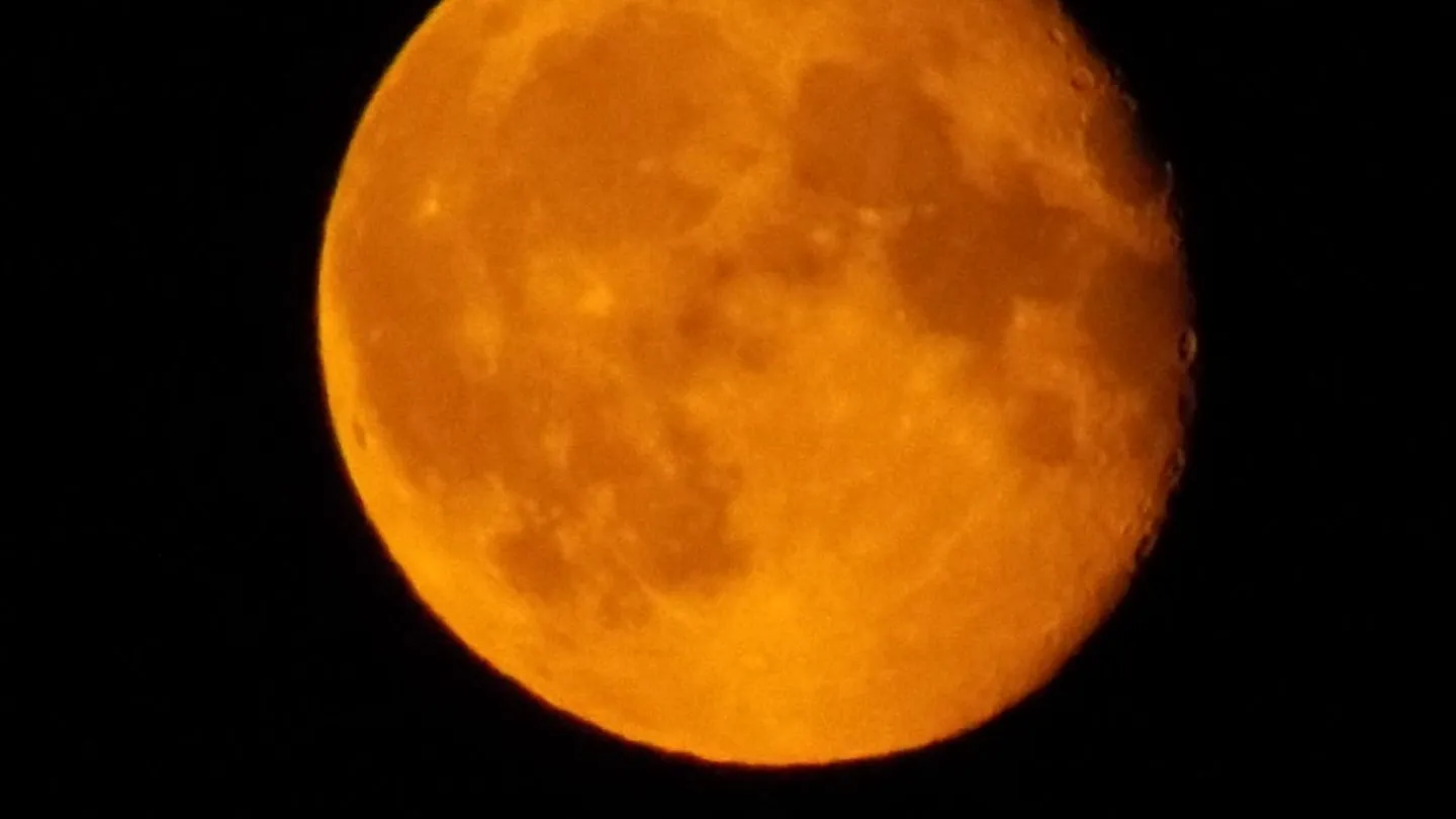 Фото: МедиаБанк Подмосковья/Михаил Мартыненко