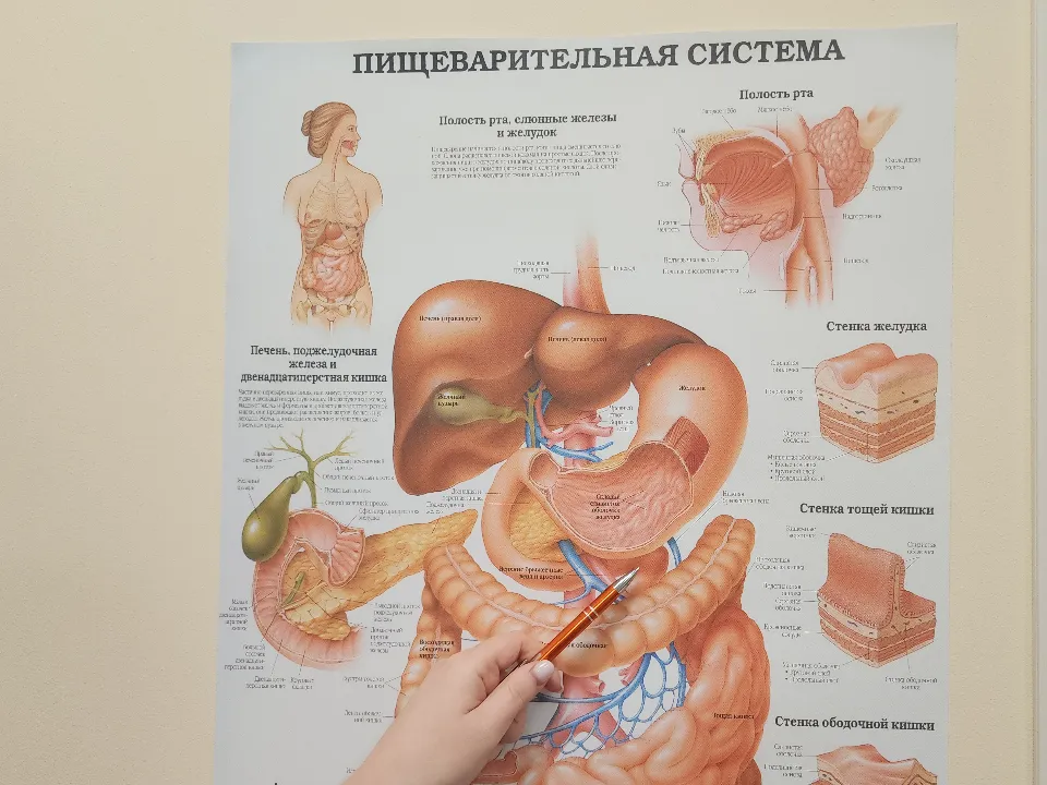 Фото: МедиаБанк Подмосковья/Светлана Борщева