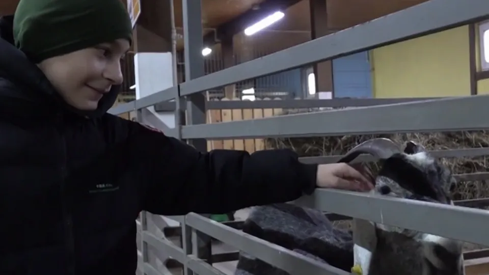 Фото: пресс-служба администрации м.о. Истра