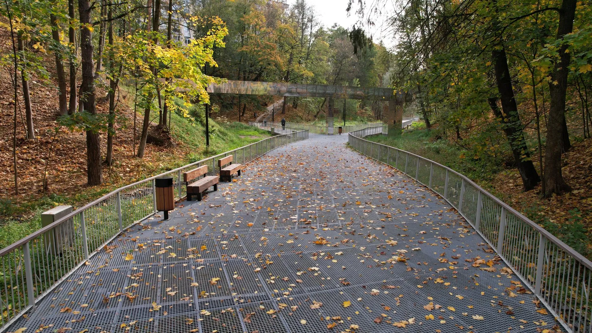 Ксения Борцова