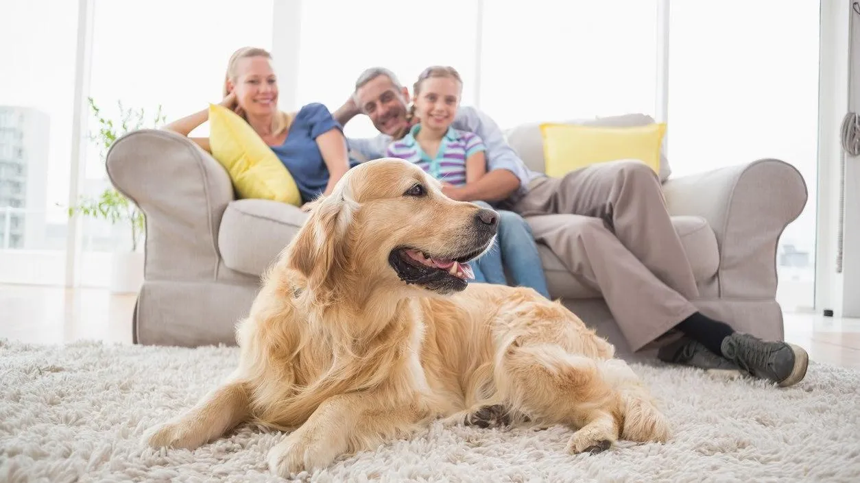 Фото: Pixabay.com