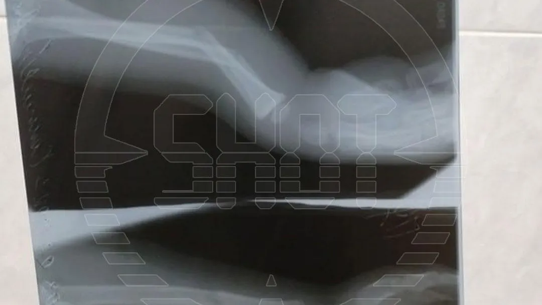 Фото: ТГ канал SHOT