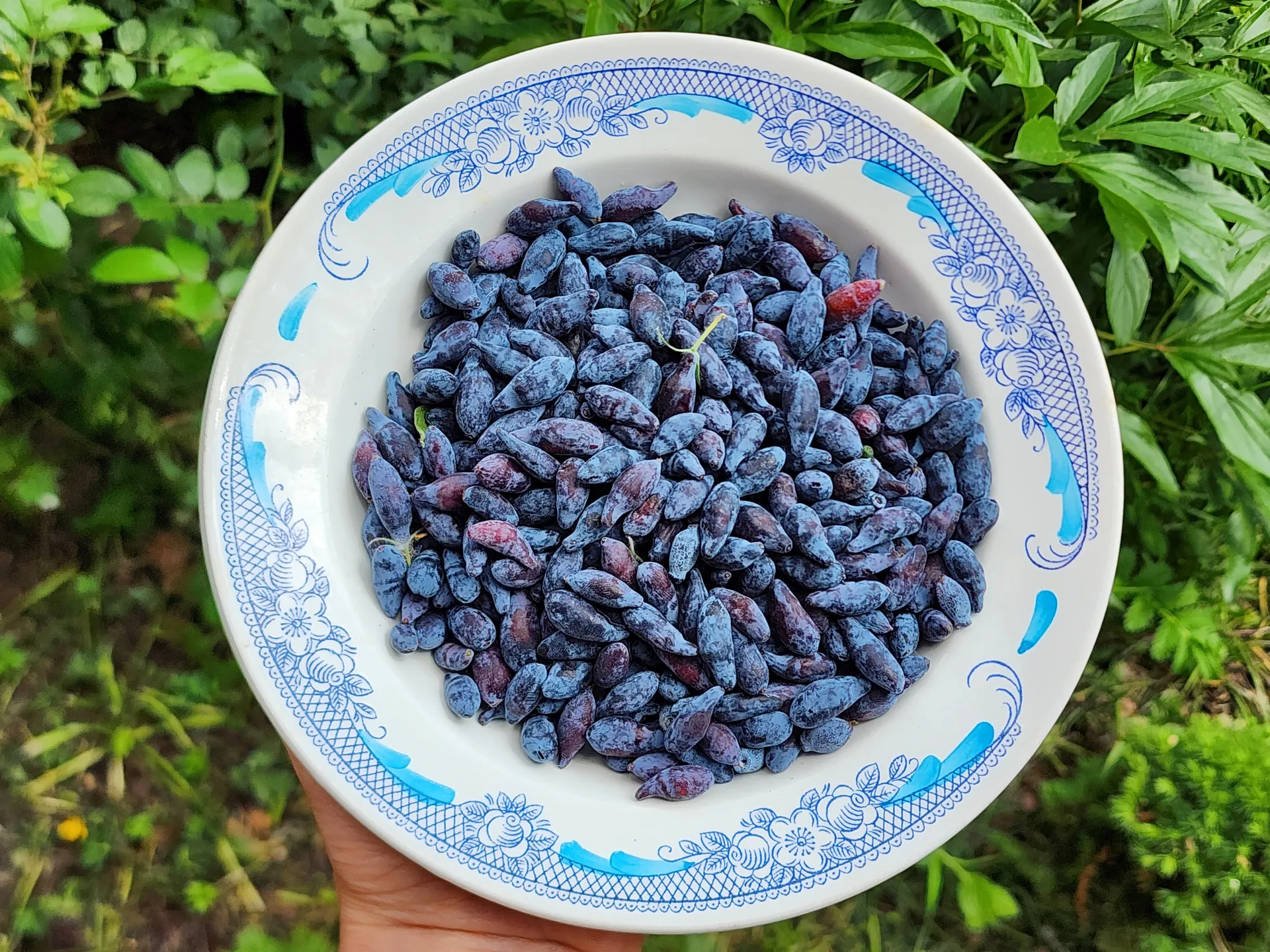 Фото: МедиаБанк Подмосковья/Ксения Пашуто