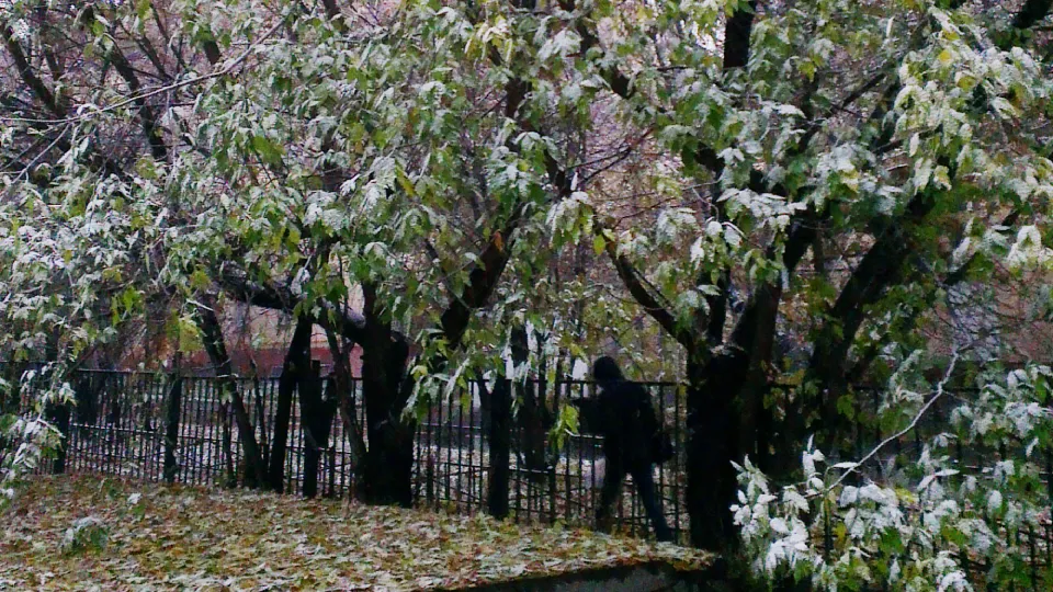 Фото: медисток.рф