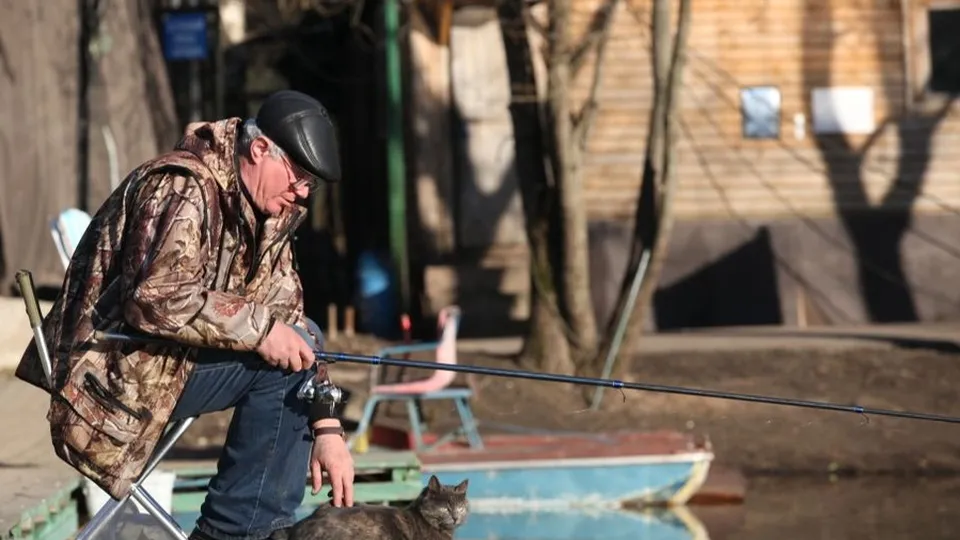 Фото: Медиасток.рф