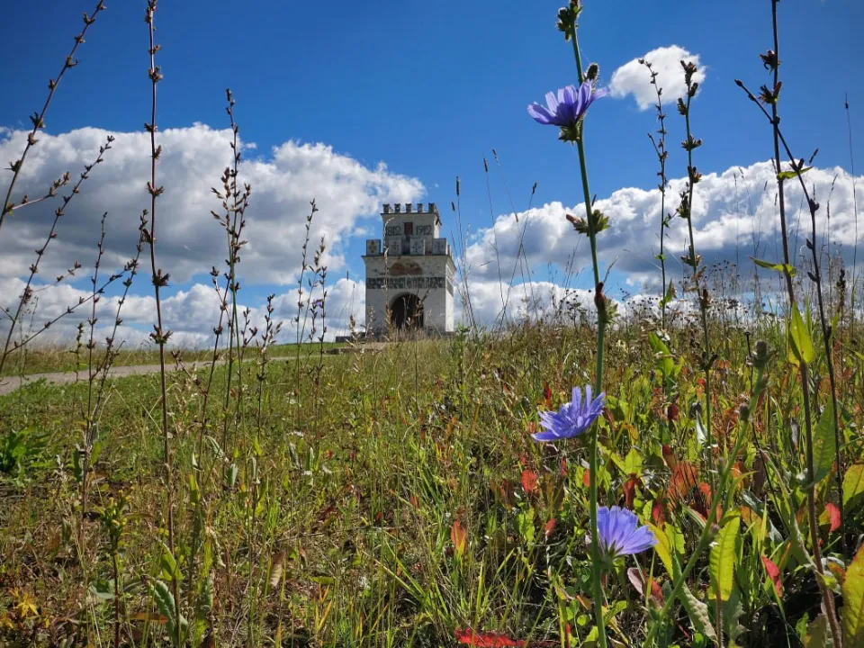 Фото: t.me/borodino1812