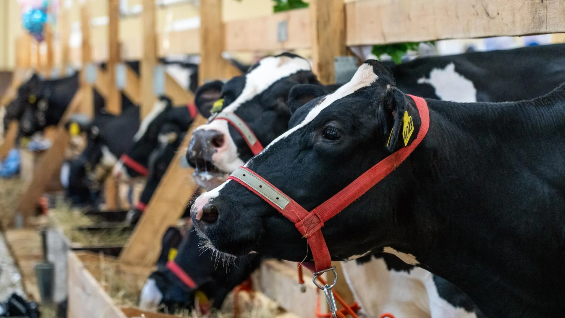 медиасток.рф