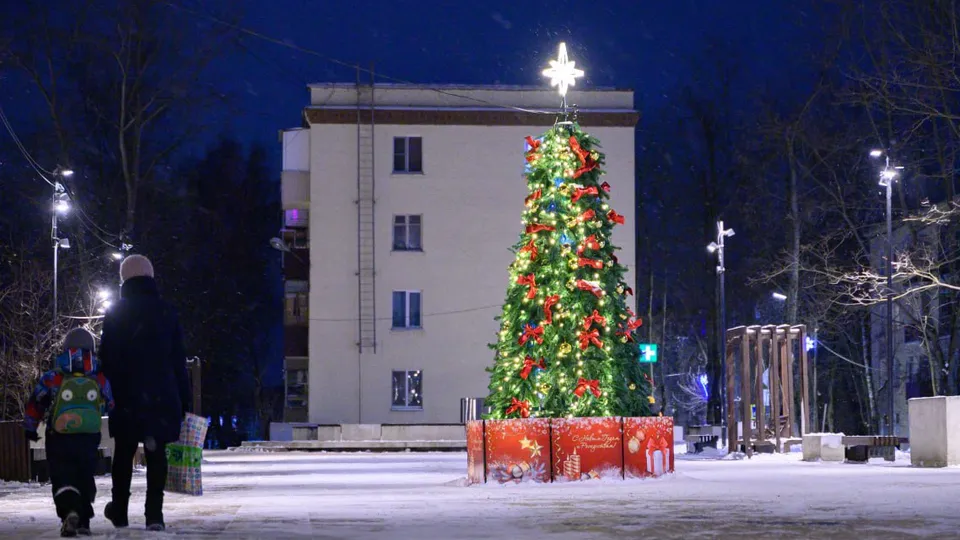 Фото: пресс-служба администрации г.о. Лыткарино