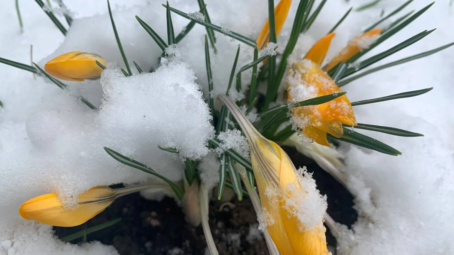 Фото: Екатерина Елисеева