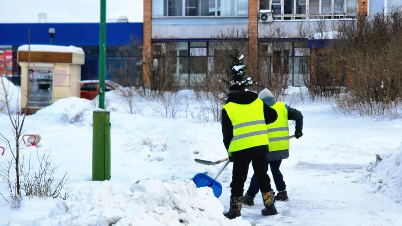 REGIONS/Полина Пахомова