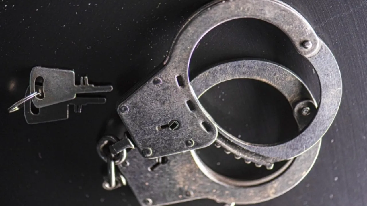 Студентов-грабителей задержали в Волгограде за жестокое избиение девушки