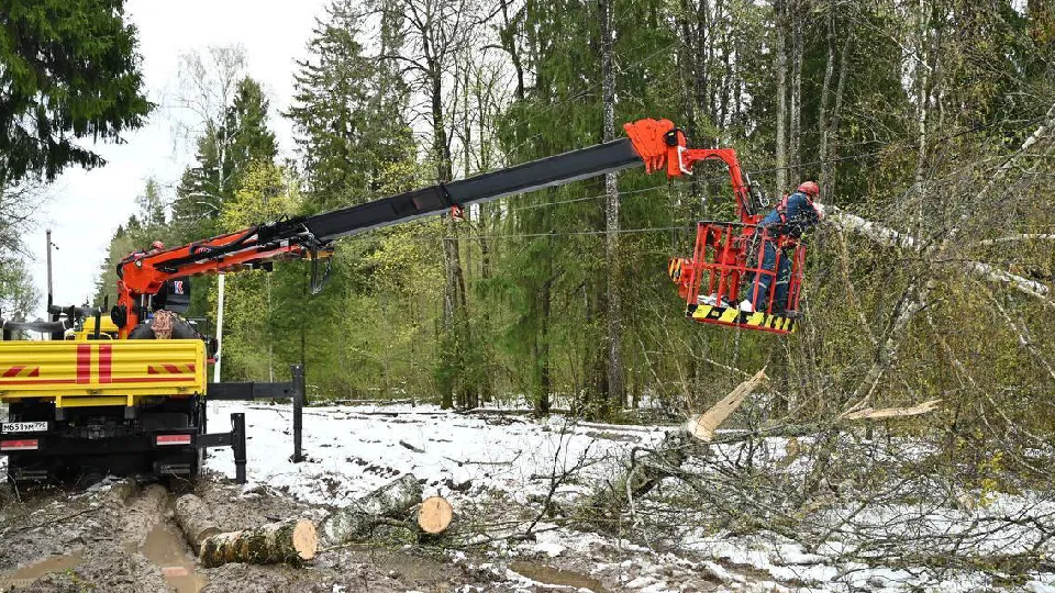 Фото: пресс-служба администрации Дмитровского г.о.