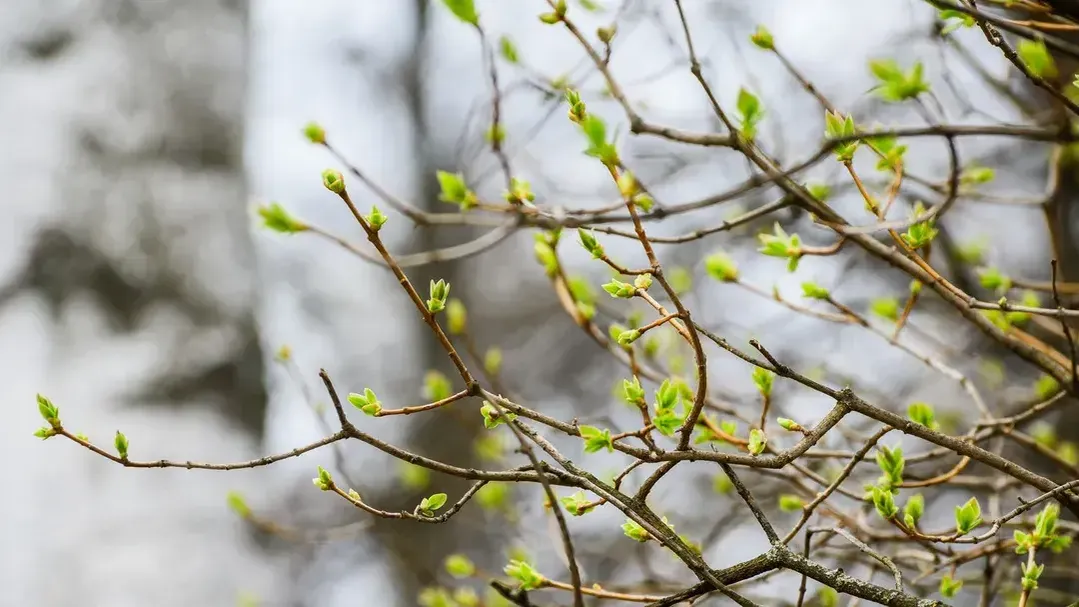 медиасток.рф