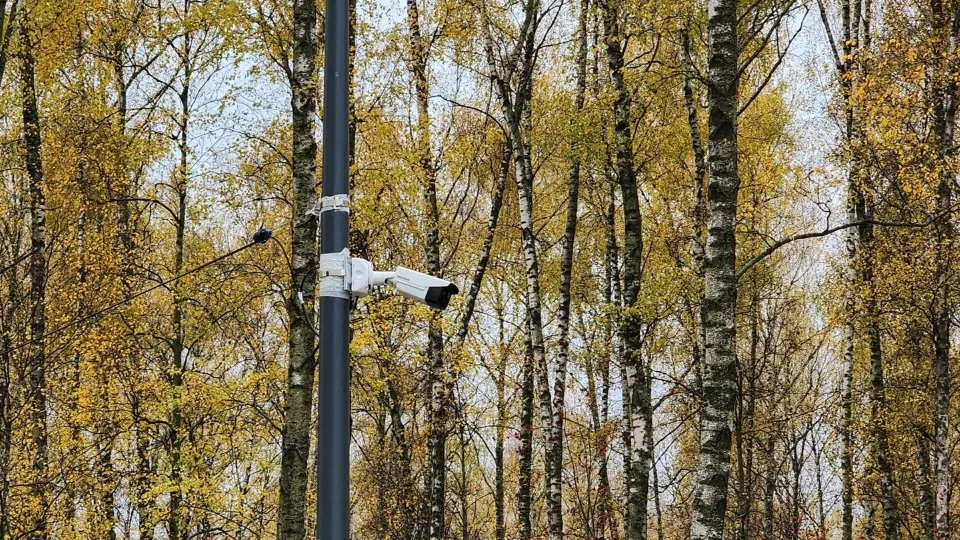 Фото: МедиаБанк Подмосковья/Дмитрий Алексеенко