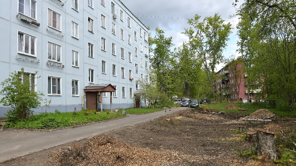 Фото: пресс-служба администрации Дмитровского г.о.