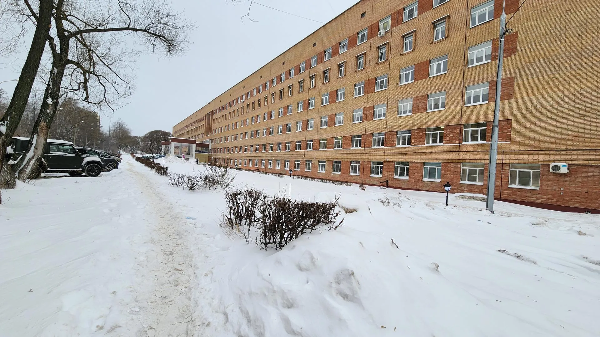 Галина Добрынина