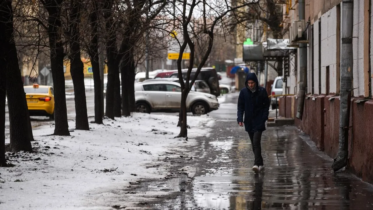 Мокрый снег и до двух градусов тепла ожидаются в Московском регионе в среду