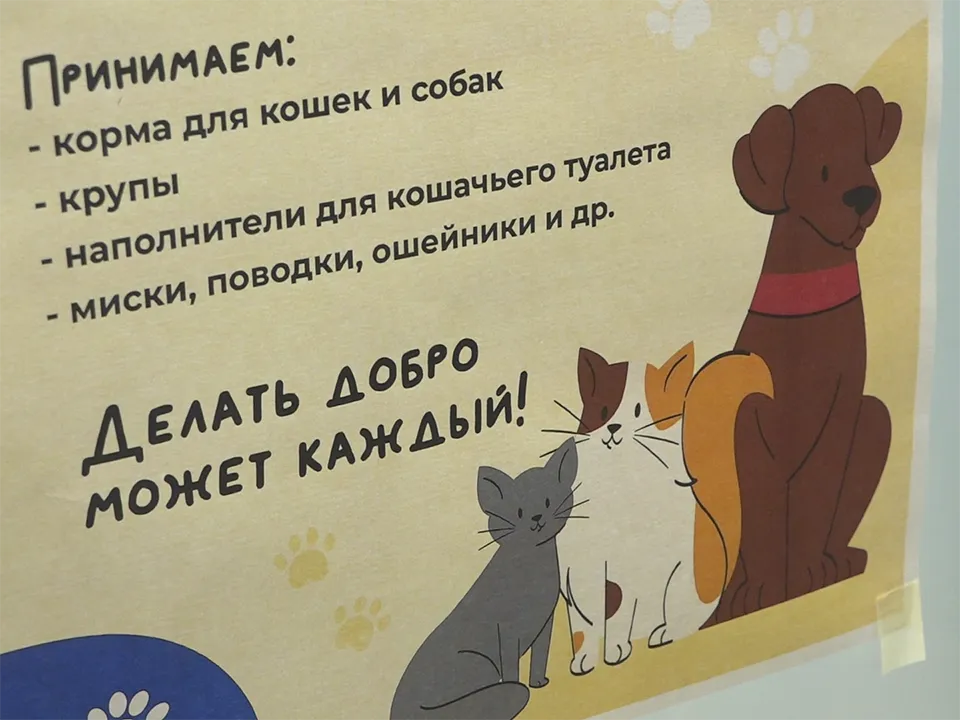 Фото: REGIONS/Елена Аботурова