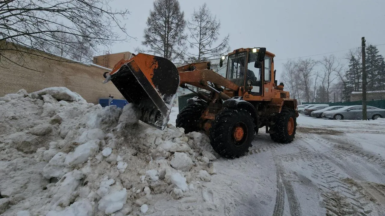 МедиаБанк Подмосковья/Екатерина Данилина