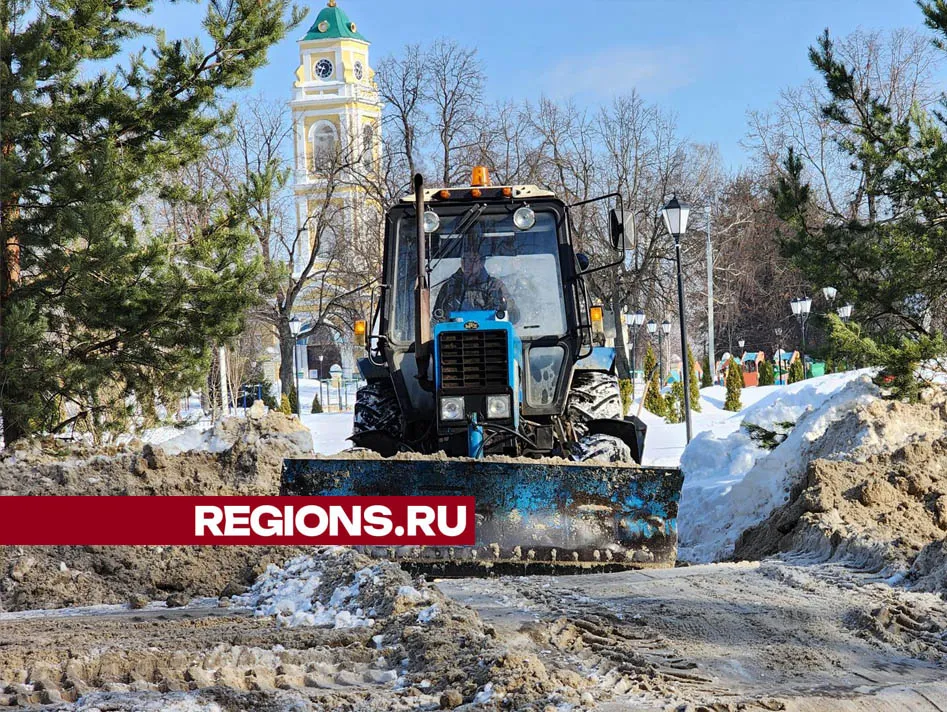 Фото: Валерия Тингаева