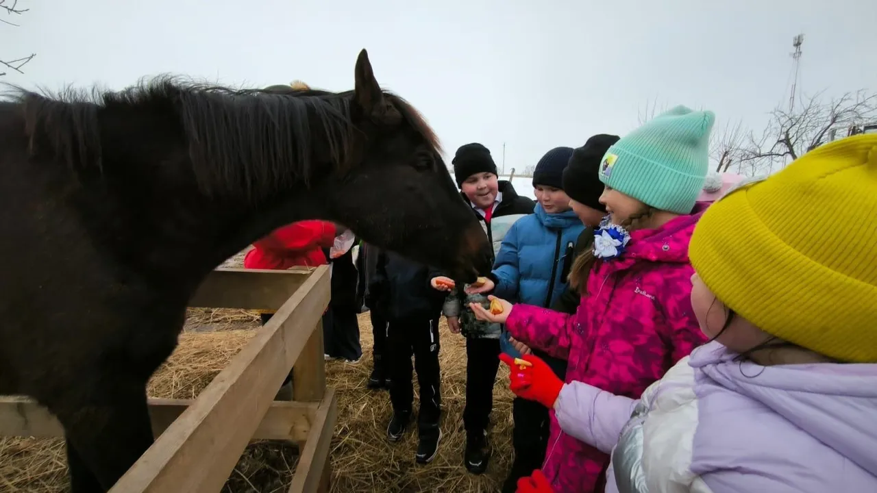 Фото: vk.com/Администрация г.о. Зарайск