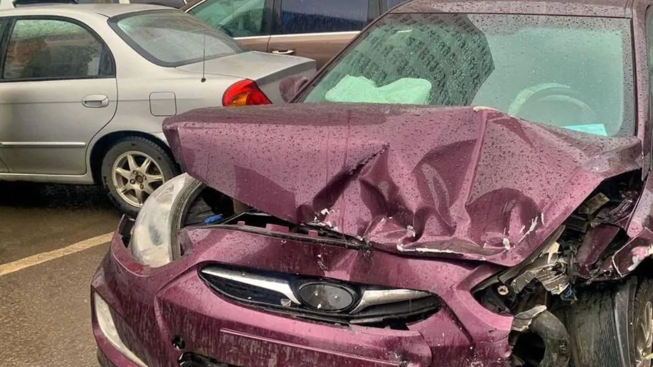 пресс-служба ГУ МВД России по Московской области