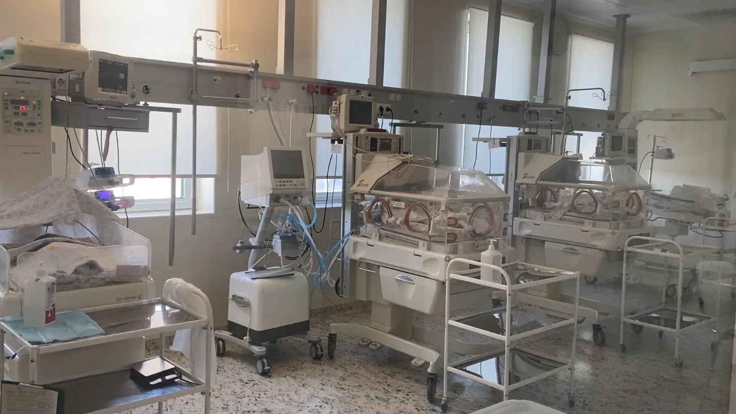 Анна Артюшина