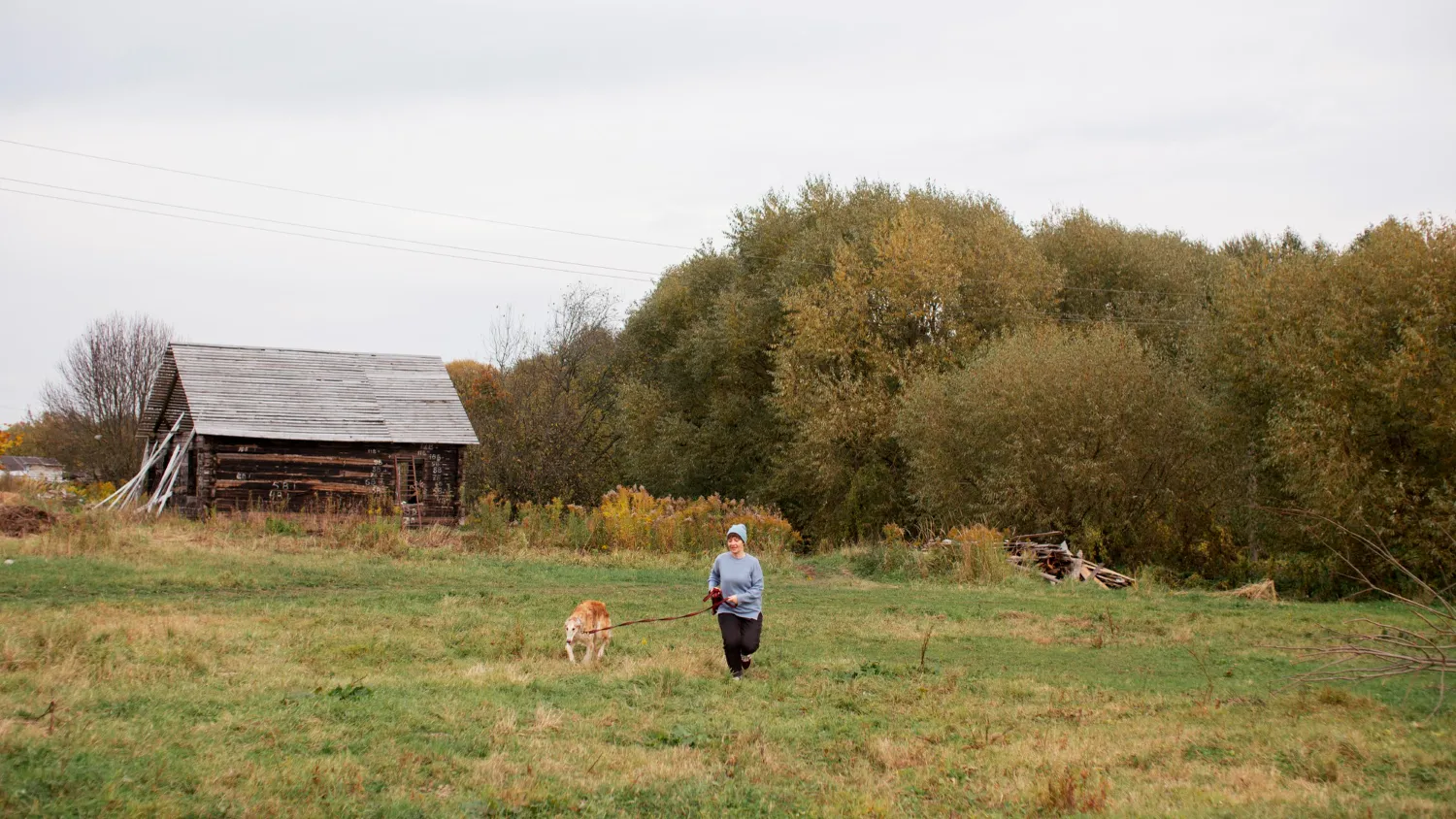 Фото: freepik.com