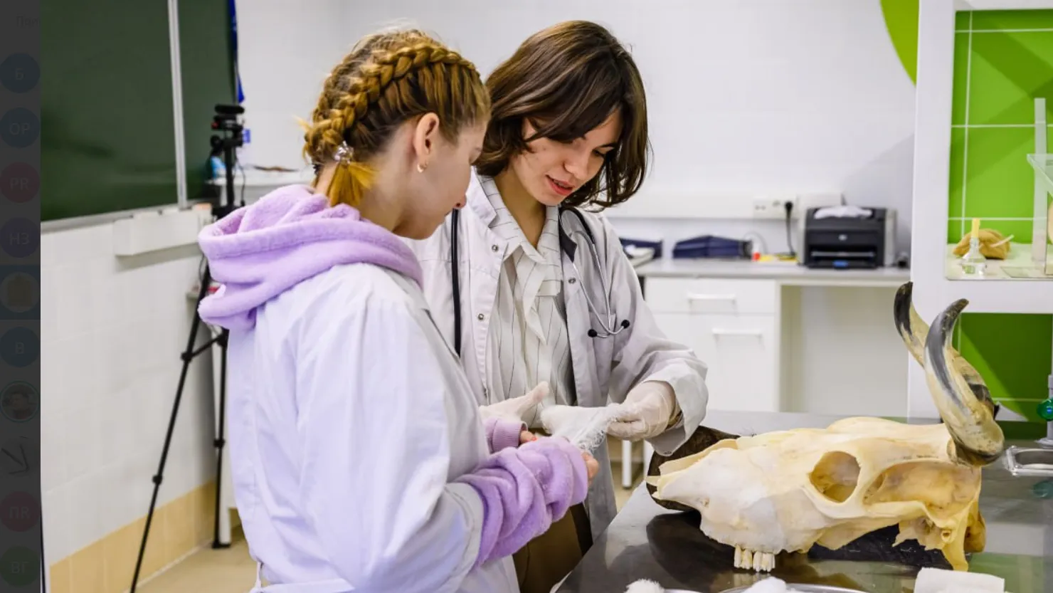 Фото: Пресс-служба Губернатора и Правительства Московской области