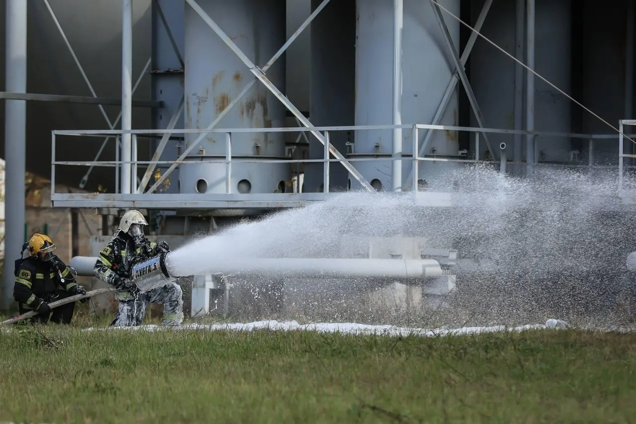 Фото: пресс-служба губернатора и правительства Московской области