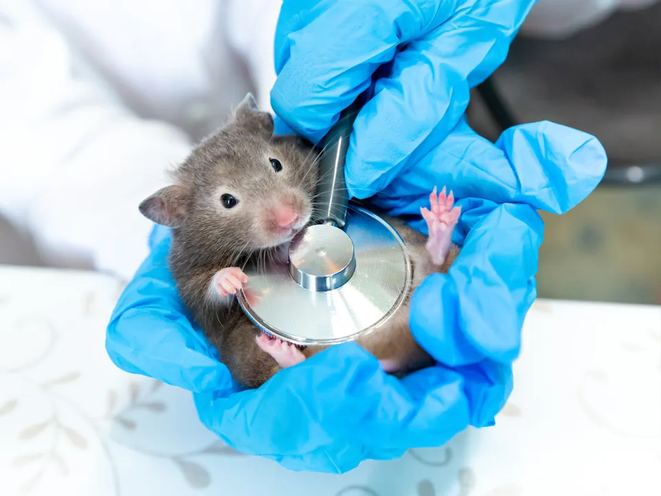 Фото: istockphoto.com/Natalia Duryagina&nbsp;