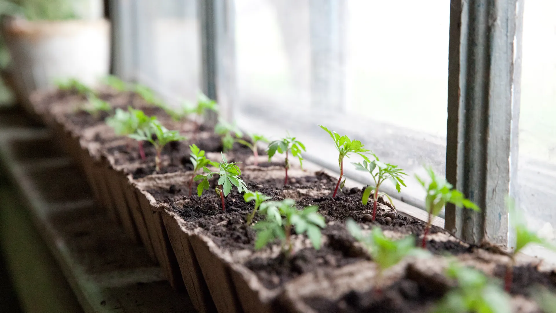 медиасток.рф